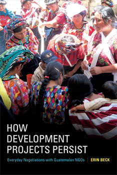 Paperback How Development Projects Persist: Everyday Negotiations with Guatemalan NGOs Book