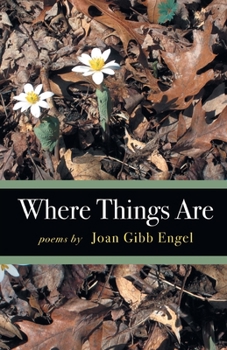 Paperback Where Things Are Book