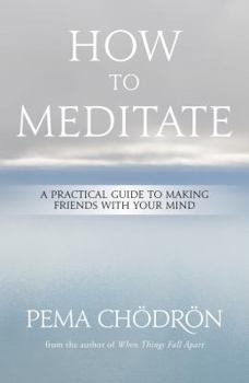 Hardcover How to Meditate: A Practical Guide to Making Friends with Your Mind Book