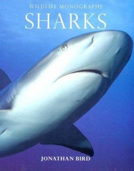 Paperback Sharks Book