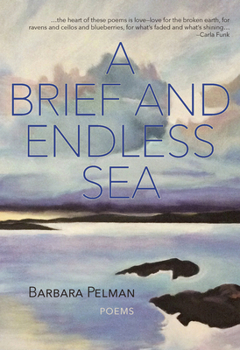 Paperback A Brief and Endless Sea Book