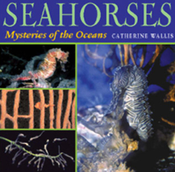 Hardcover Seahorses: Mysteries of the Ocean Book