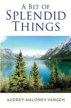 Paperback A Bit of Splendid Things Book