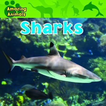 Sharks - Book  of the Amazing Animals