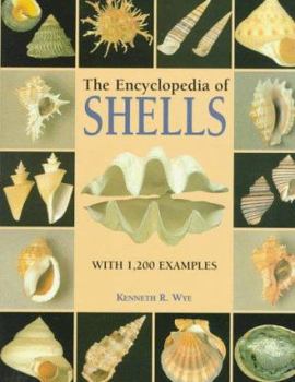 Hardcover The Encyclopedia of Shells Book