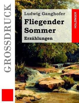 Paperback Fliegender Sommer (Großdruck): Erzählungen [German] Book