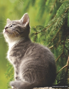 Calendario annuale 2020: ? Manuale dell'organizzatore pratico per il 2020 ? Anteprima di 12 mesi ? 52 pianificatore settimanale con compiti e ... A4+ ? motif: junge Katze (Italian Edition)