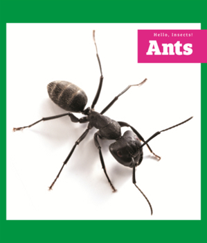 Ants