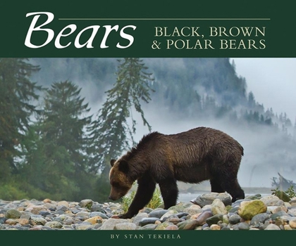 Paperback Bears: Black, Brown & Polar Bears Book