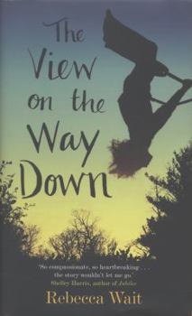 Hardcover The View on the Way Down. by Rebecca Wait Book