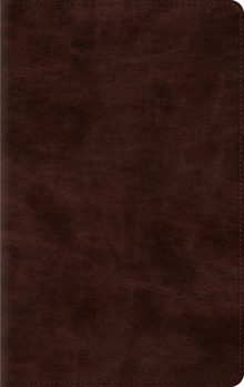 Imitation Leather Thinline Bible-ESV Book