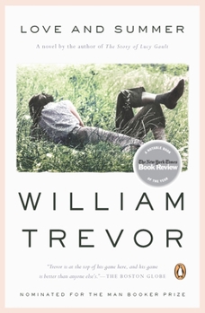 Paperback Love and Summer Book