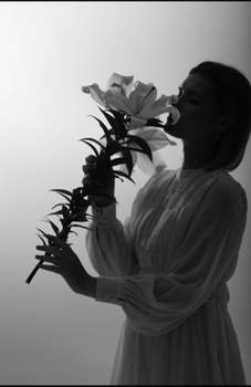 Paperback Fortress Income: A Guide to Investing in Bulletproof Dividend Stocks Book