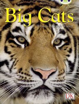 Paperback BC NF Brown B/3B Big Cats (BUG CLUB) Book