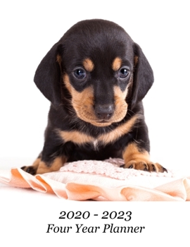 2020 – 2023 Four Year Planner: Cute Dachshund Puppy Cover – Includes Major U.S. Holidays and Sporting Events
