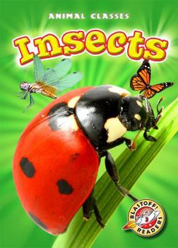 Insects - Book  of the Animal Classes