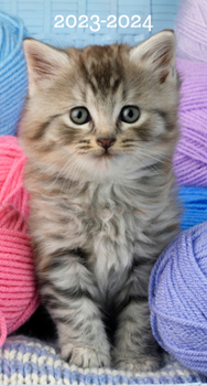 Calendar Cute as a Kitten 2023 2-Year Pocket Planner Book