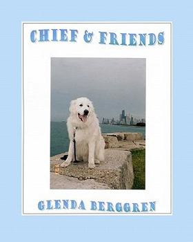 Paperback Chief & Friends Book