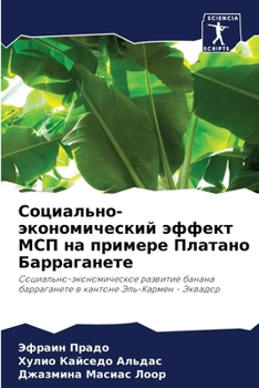 Paperback Социально-экономически&# [Russian] Book