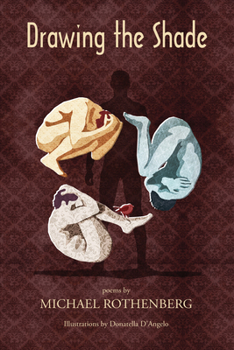 Paperback Drawing the Shade Book