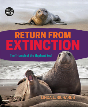 Hardcover Return from Extinction: The Triumph of the Elephant Seal Book