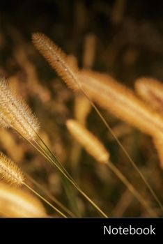 Notebook: Foxtail,  Grasses,  Bamboo Grassedit This Page,  Nature Notebook / Journal / Diary / Composition book - 6 x 9 inches (15,24 x 22,86 cm), 150 pages, glossy finish.