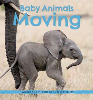 Hardcover Baby Animals Moving Book