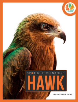 Paperback Hawk Book