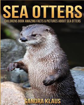 Paperback Childrens Book: Amazing Facts & Pictures about Sea Otters Book