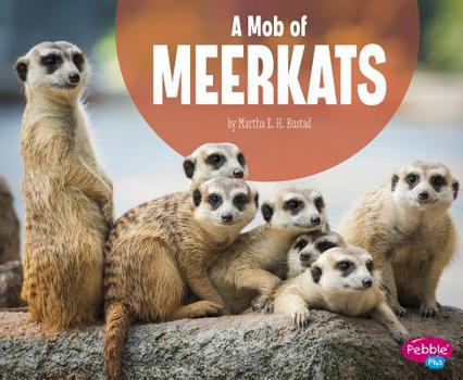 Hardcover A Mob of Meerkats Book