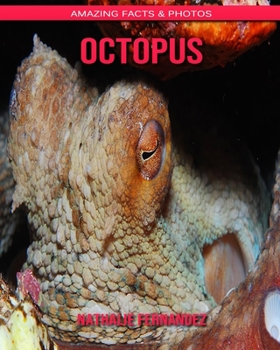 Octopus: Amazing Facts & Photos