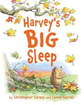 Paperback Harvey's BIG Sleep Book