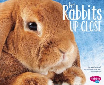 Paperback Pet Rabbits Up Close Book