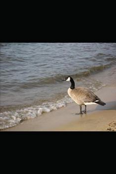 Paperback escuela para suegros 3 la mision: la mision [Spanish] Book