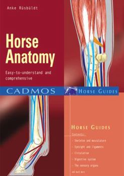 Paperback Horse Anatomy: Easy-to-Understand and Comprehensive (Cadmos Horse Guides) Book