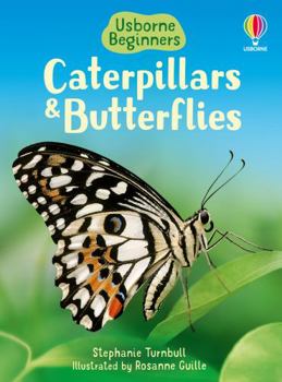 Caterpillars and Butterflies (Beginners Nature, Level 1) - Book  of the Usborne Kid Kit