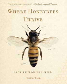 Paperback Where Honeybees Thrive: Stories from the Field Book
