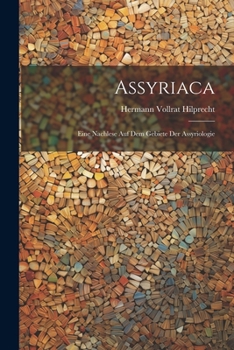 Assyriaca: Eine Nachlese Auf Dem Gebiete Der Assyriologie (German Edition)