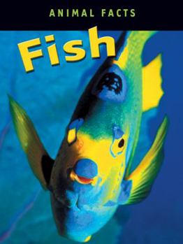 Hardcover Fish Book