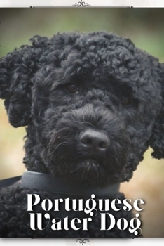 Paperback Portuguese Water Dog: Dog breed overview and guide Book