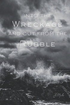 Paperback Into the Wreckage and Out From the Rubble Book