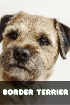 Paperback Border Terrier: Complete breed guide Book