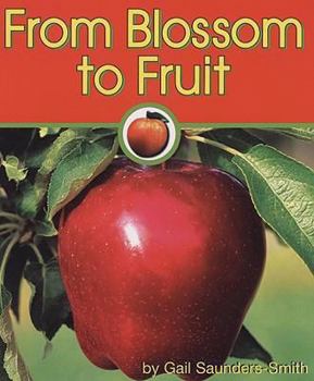 Paperback From Blossom to Fruit Book