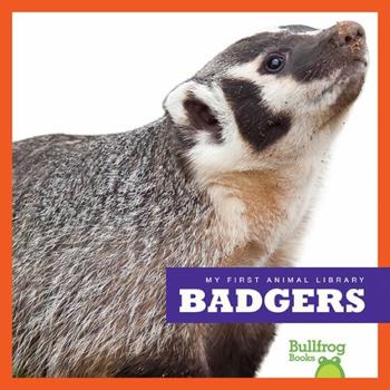Library Binding Badgers Book
