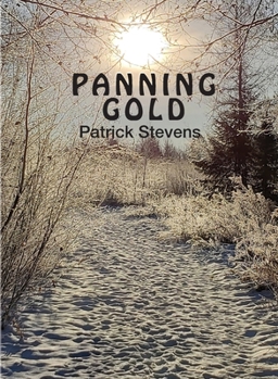 Paperback Panning Gold Book