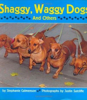 Hardcover Shaggy, Waggy Dogs (and Others) Book