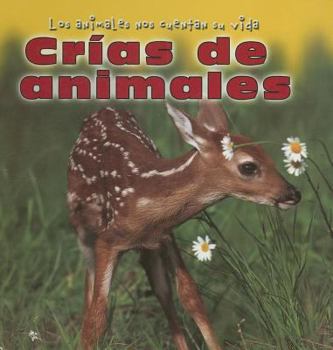 Crias De Animales/Baby Animals (Los Animales Nos Cuentan Su Vida/Animal Show and Tell)