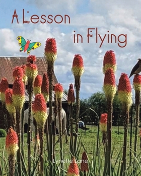 Paperback A Lesson in Flying Book
