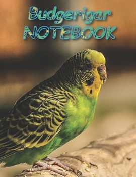 Budgerigar NOTEBOOK: Notebooks and Journals 110 pages (8.5"x11")