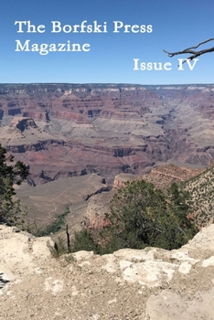 Paperback Issue IV (Paperback) Book